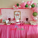 Baby Shower Partisi