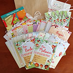 İkiz Bebek Anı Kartları